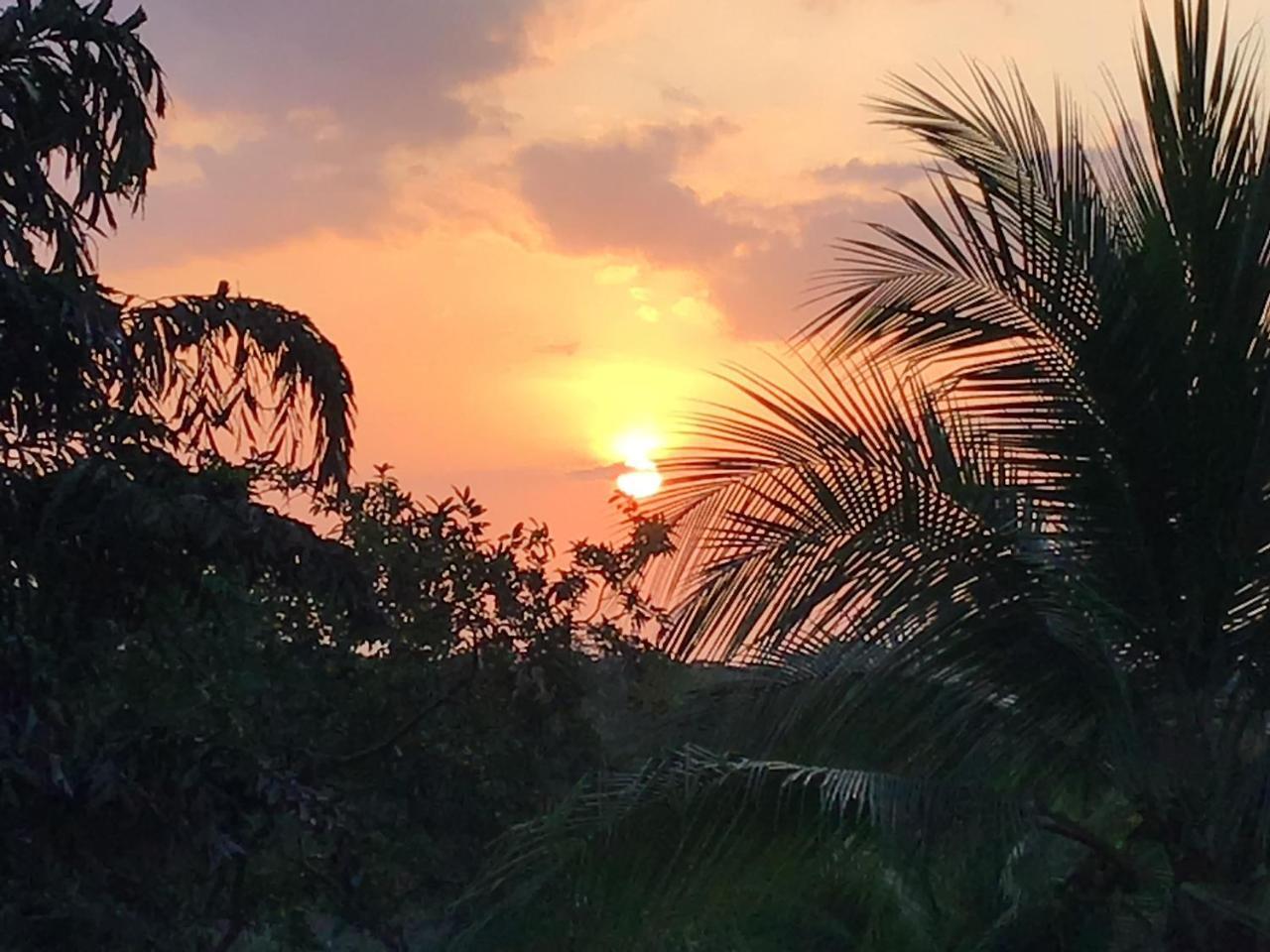 Los Cielos Del Caribe Cahuita Exterior foto