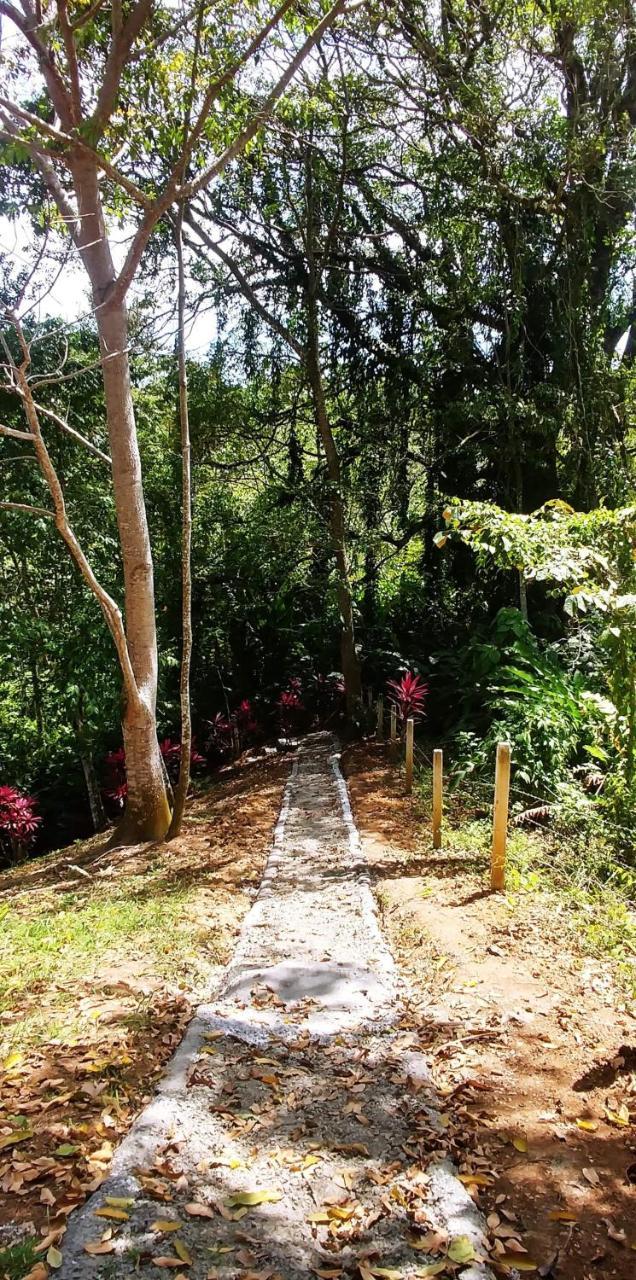 Los Cielos Del Caribe Cahuita Exterior foto