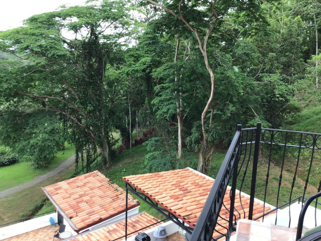 Los Cielos Del Caribe Cahuita Exterior foto