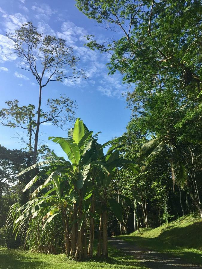 Los Cielos Del Caribe Cahuita Exterior foto